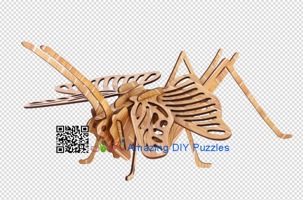 DIY toy-3D puzzle-Bamboo Acridid